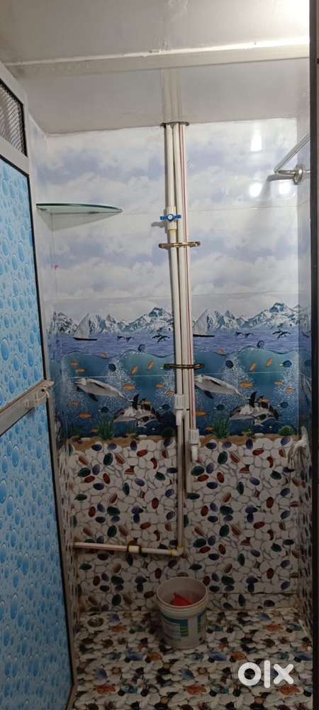 Need a female roommate