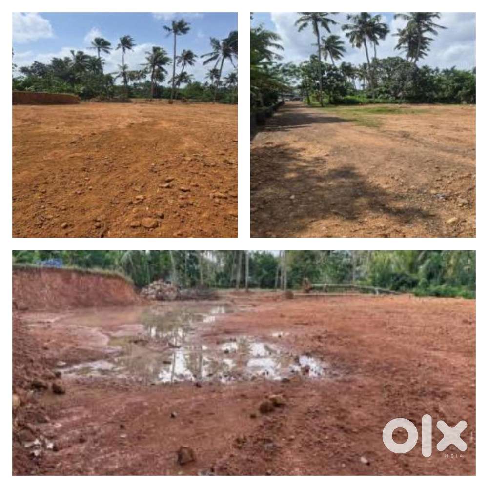 commercial land for sale in palakkad town area acr 60lakhs  tatal acr
