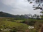 1 Acre Scenic Plot for Sale in Cheengode –Nadavayal Wayanad