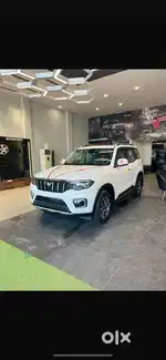 Brand new one month old only 2025 April