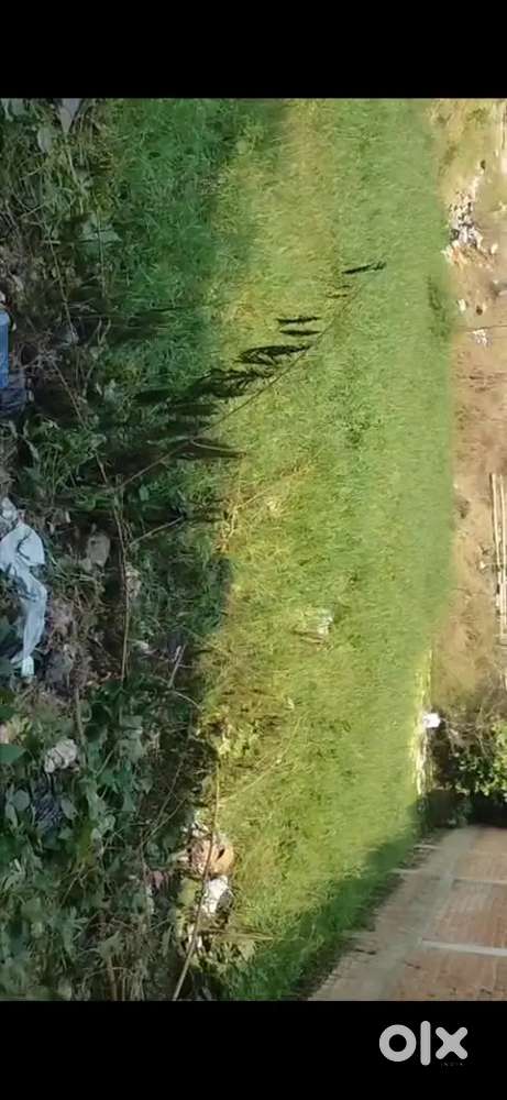 2 Dismil kanchan nagar patel college