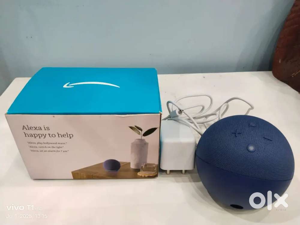 Alexa echo dot