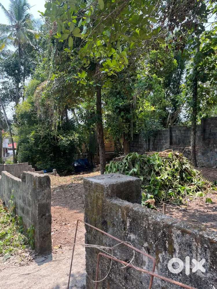 Residential Plot for Sale in Poojappura