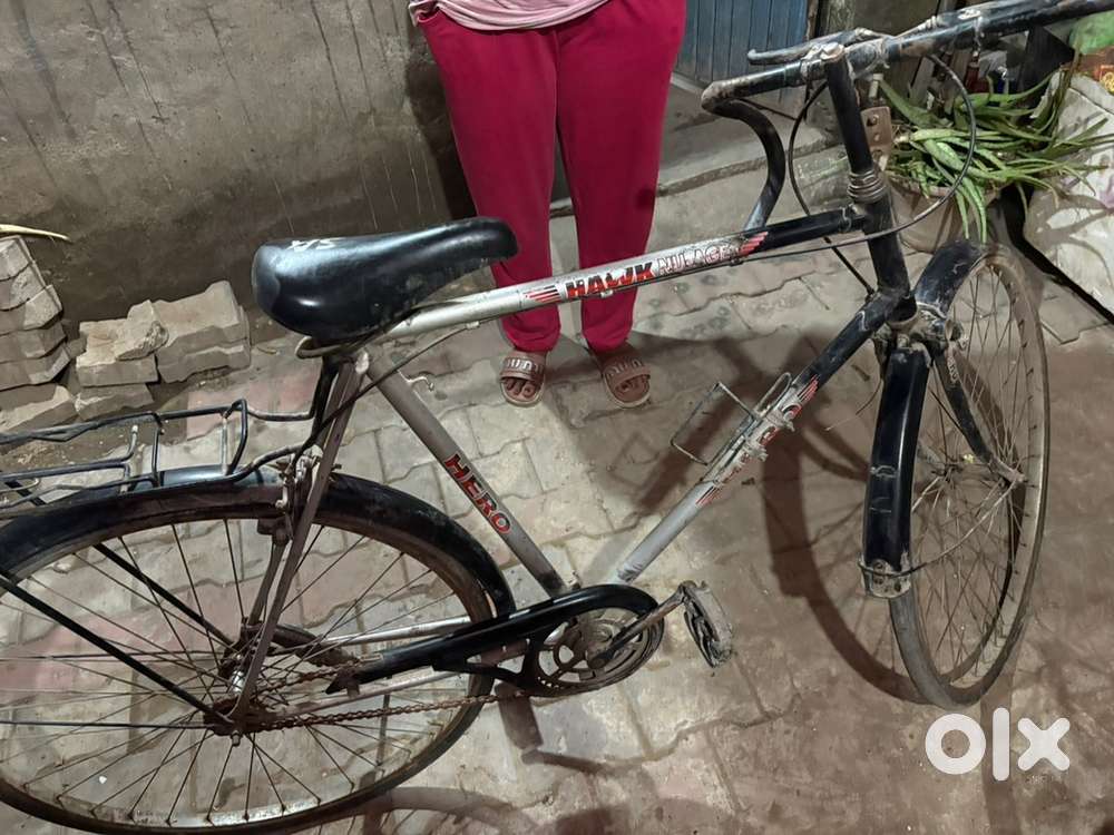 Hawk Bicycle