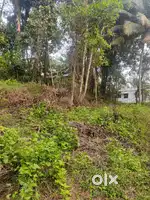 8 cent plot for sale in chelannur