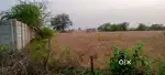 1.25 bigha khet 500 m from highway near Tiwari pur sarsaul