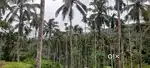 Farming land for sale in malakallu