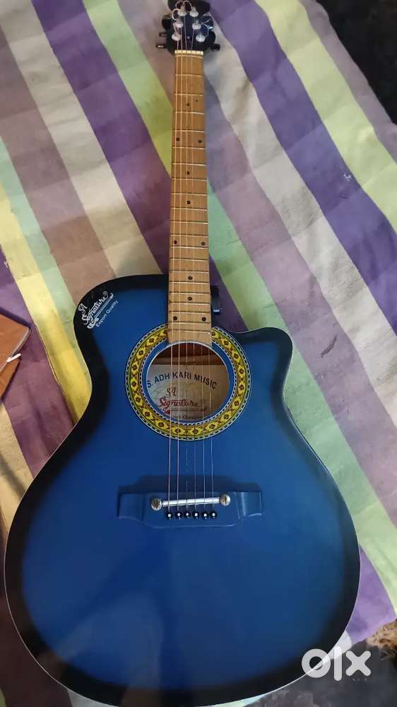 Signature guitar tip top condition