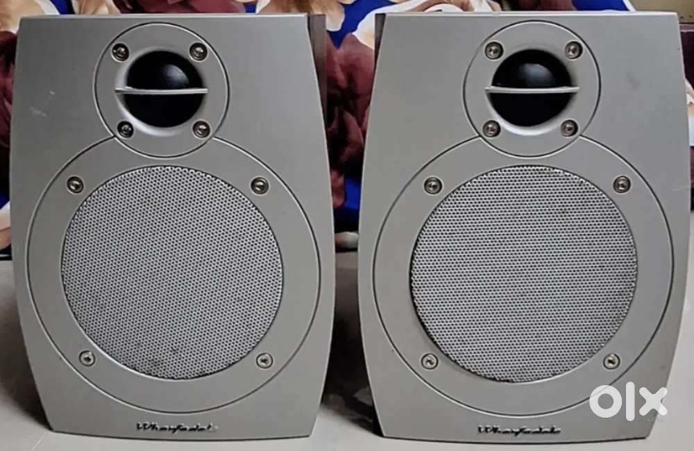 Speaker and woofer