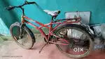 Gang Fazer bicycle.
