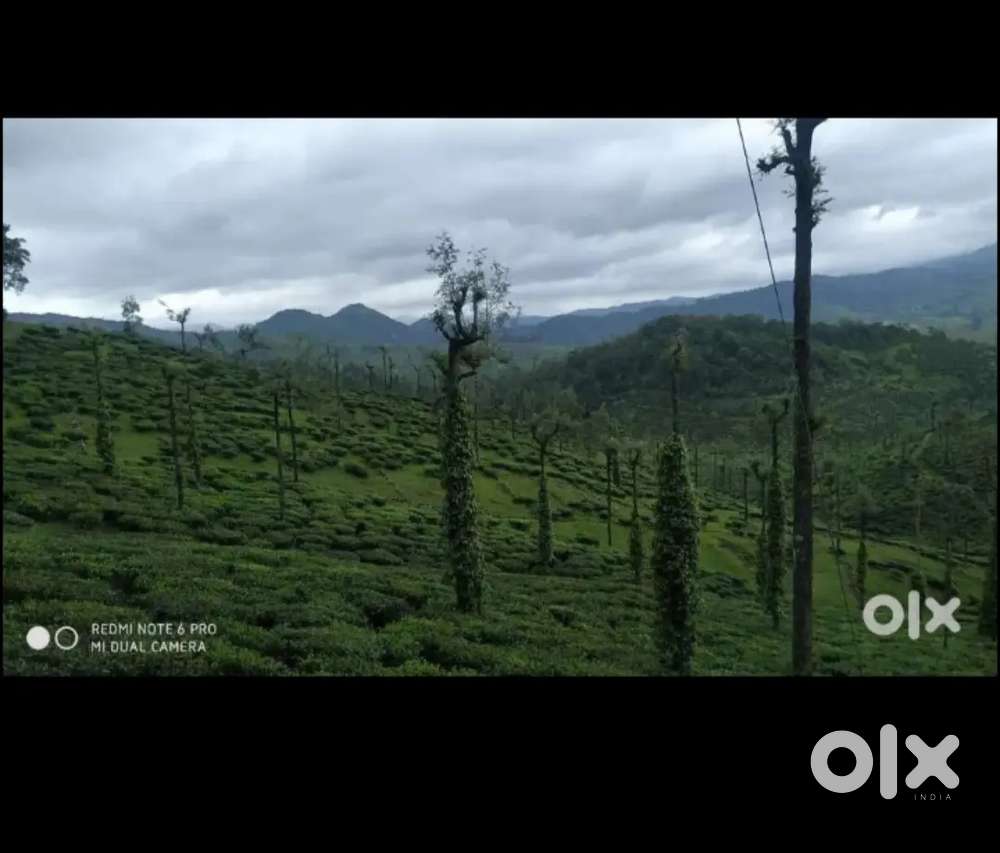 20 സെന്റ് സ്ഥലം വിൽപ്പനയ്ക്