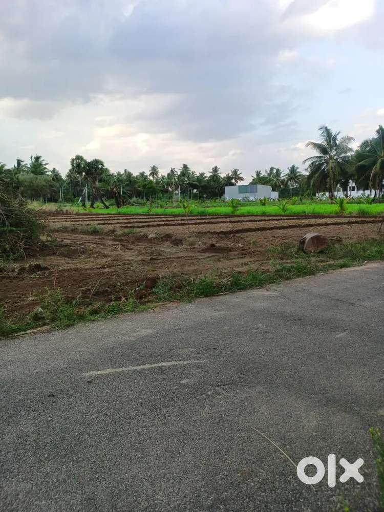 Prime land for sale in Erode. Ideal for Farm house, Villa &investment