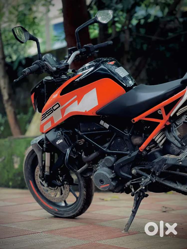 Duke 250 BS4 (2019)