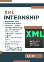 Xml devloper Internship