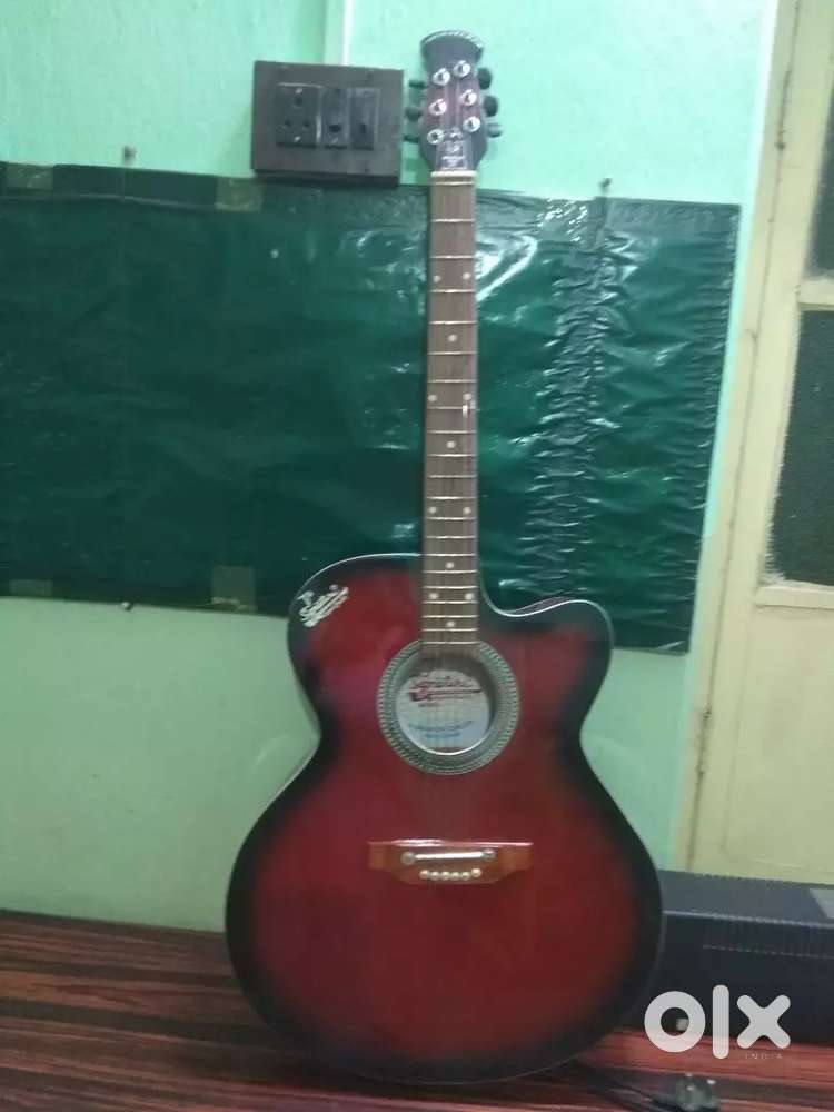 Gittar musical instrument