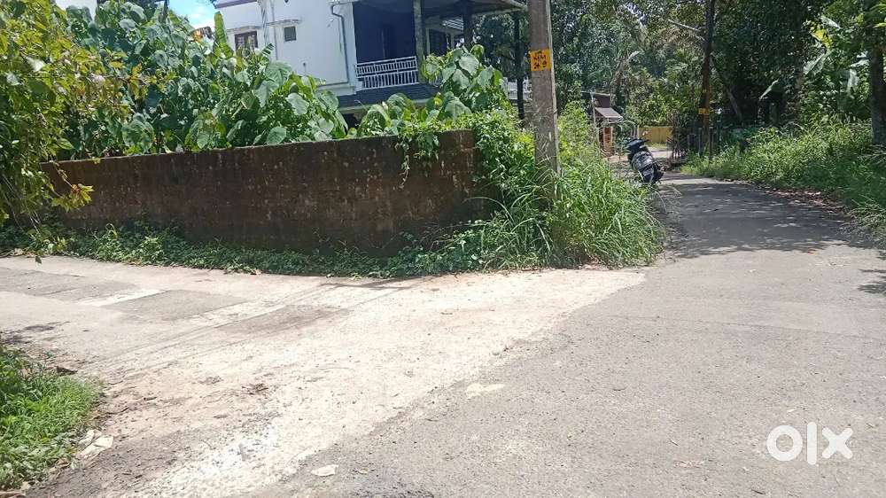 3.300 cent PLOT for sale