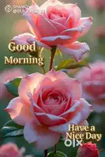 Nice 1RK & colorful