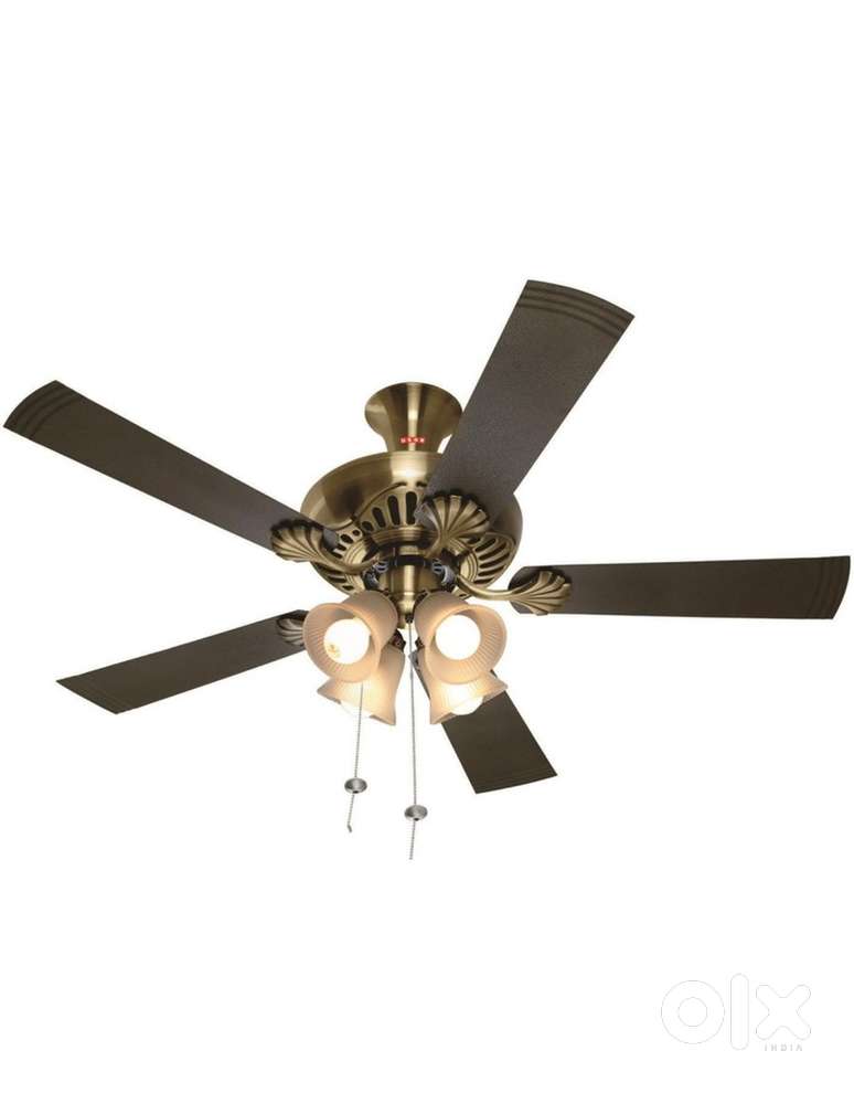 Usha fontana maple fan on sale