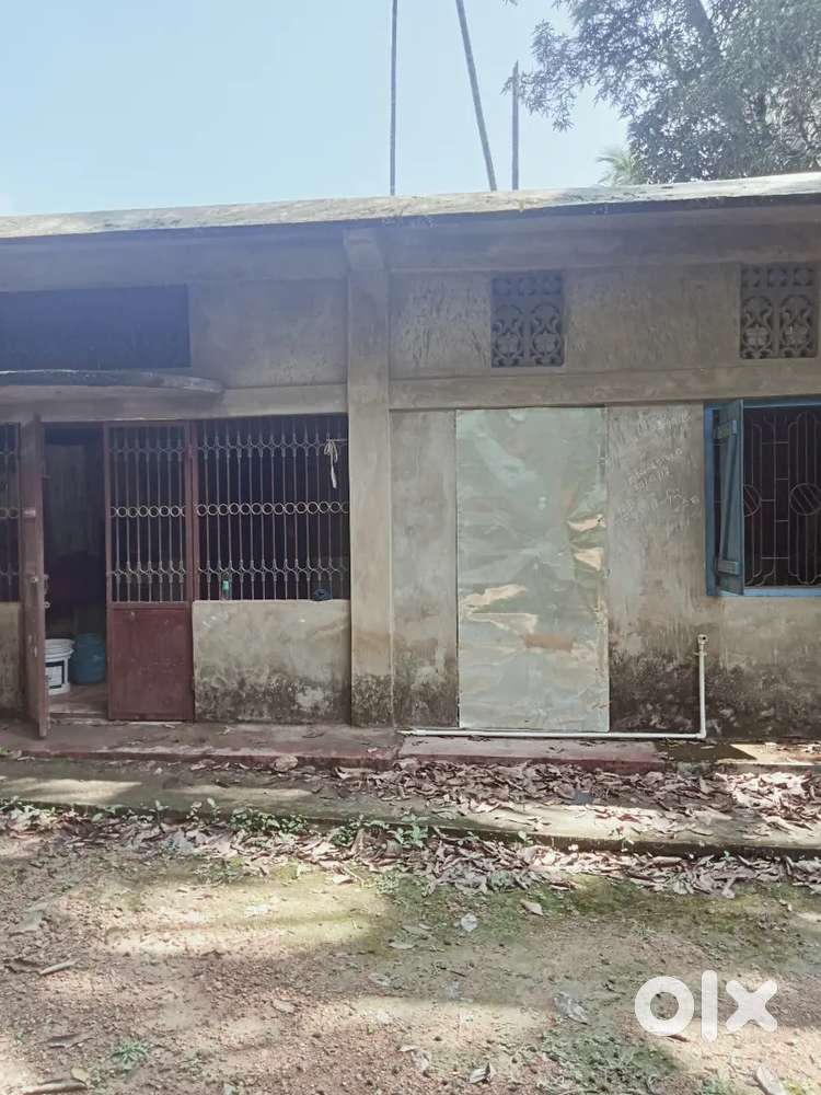2 bigha kash land with building.