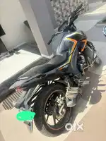 Best hornet bike