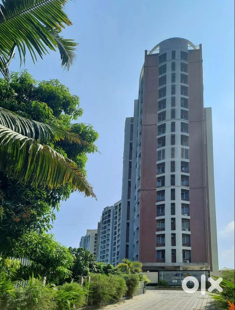 Looking for female flatmates