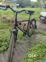 Avon cycle