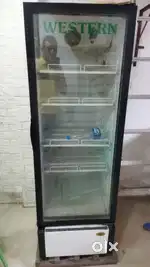 Western VISI 380 Litre Fridge