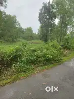 Land for sale at neere bailoor karkala