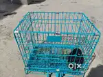 Collapsible Metal Travel Cage for Small Dog / Cat / Puppy