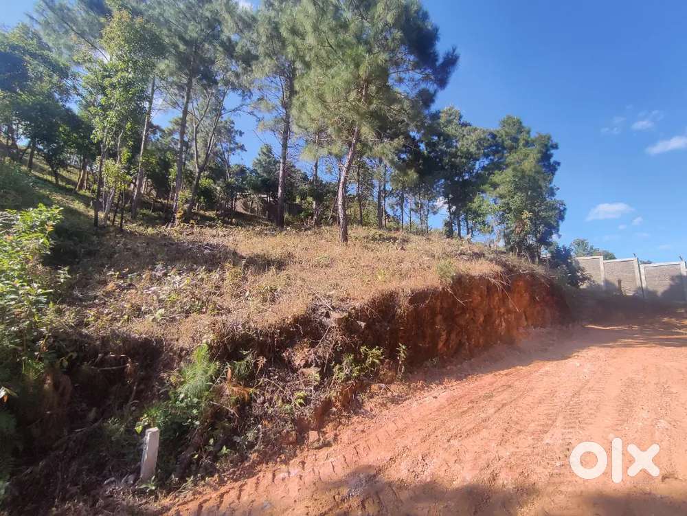 Jaka ban die ha tyngring