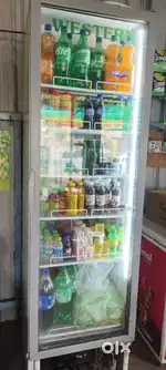 Western VC cooler fridge