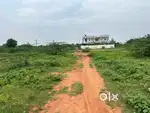 North face Best plot with low price