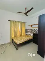 For one bachelor single room rent in kakkanad opposite noel focus