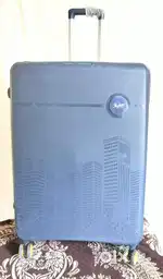 Trolley bag