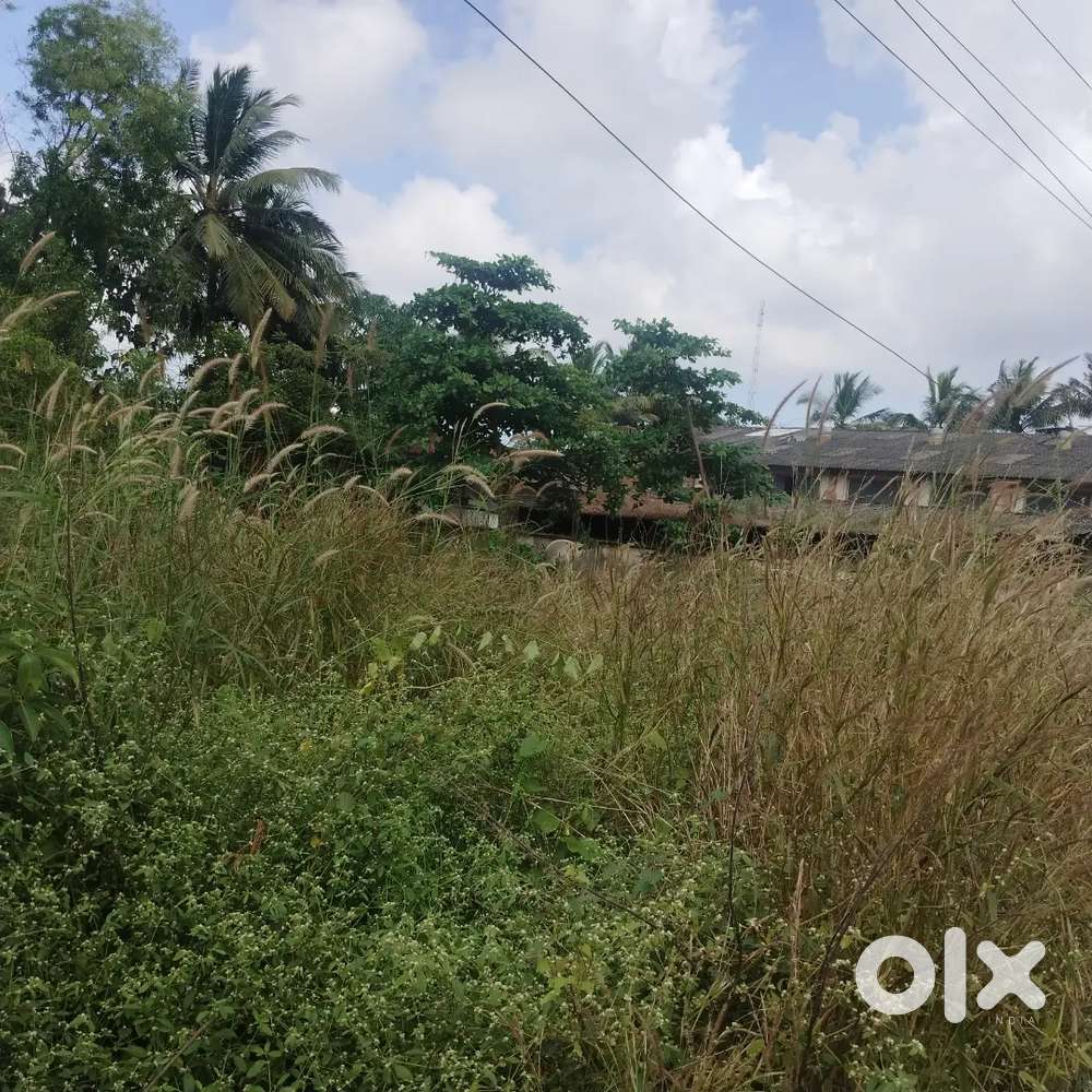 For Sale 2700m2 Plot Touching the Main Road Davarlim, Margao