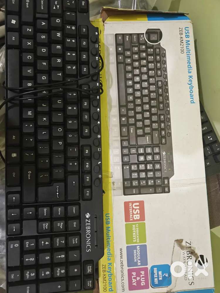 Zebronics Wired Keyboard