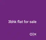 3bhk flat for sale