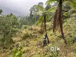 General property land for sale