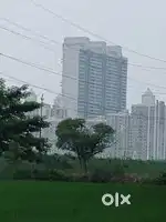 Plots sale बेहतरीन लोकेशन मेट्रो के नजदीक Sec 145 Noida Expressway.