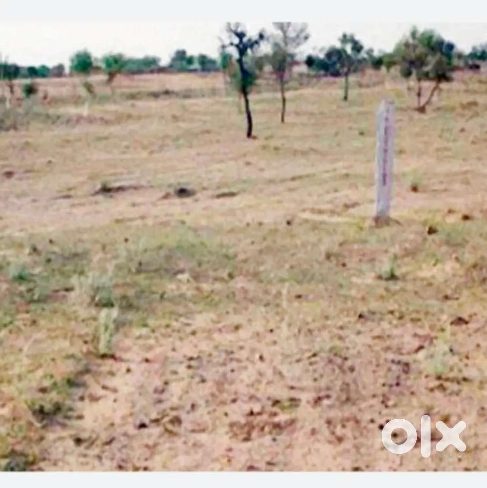 कंपनी एवं प्लाटिंग के लिए जमीन