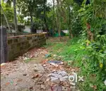 12 സെന്റ് പുരയിടം വില്പനക്ക് ( കൊല്ലം കരിക്കോട് )