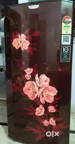 3 month old 4 star fridge