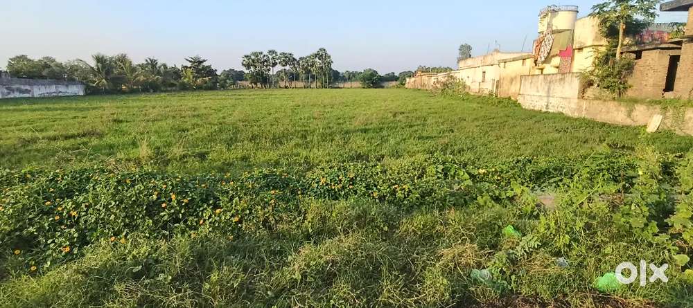 Jonnawada road rajagopala puram near dodla dairy 70sents d form patta