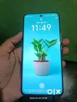 Vivo v 60 5g