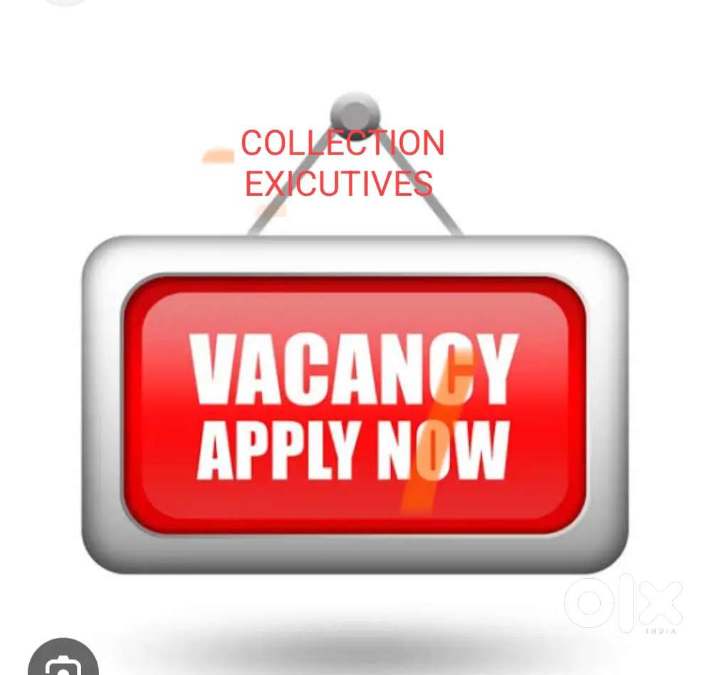 COLLECTION EXECUTIVE(BANK & FINANCE )