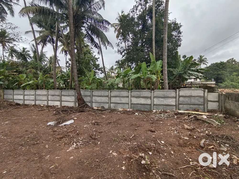 9.5 cent Plot for lease at link road btwn Aristo road to thottathil