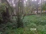 15 cent land for sale. 4.5 lakh per cent. Price is slightly negotiable