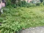 Residential Land