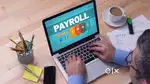 Payroll Executive