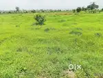 Jaital, bhairawanath colony, kalamba gargoti road